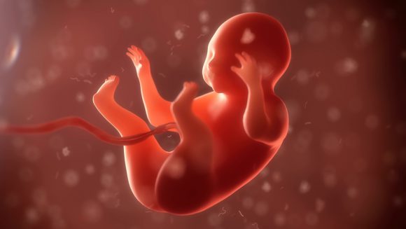 임신 초기 사망원인 1위 ‘자궁외 임신’, 1000명당 17명꼴