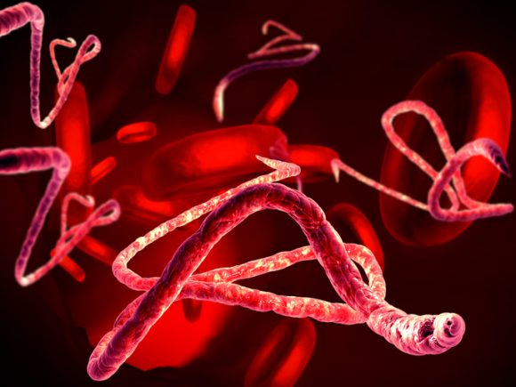 에볼라바이러스병, 치명률 최대 90%…에어로졸 감염 가능