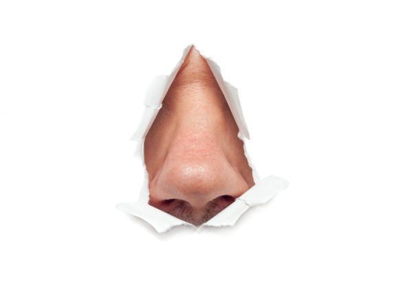 남성의 코가 크면? (연구)