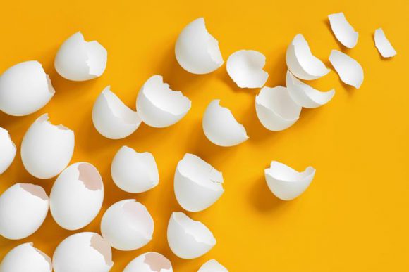 “버리지 마세요” 달걀 껍질 활용하는 8가지 방법