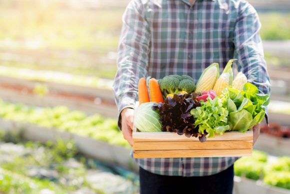 ‘유기농’ 식품 구입, 자연친화적인 선택!