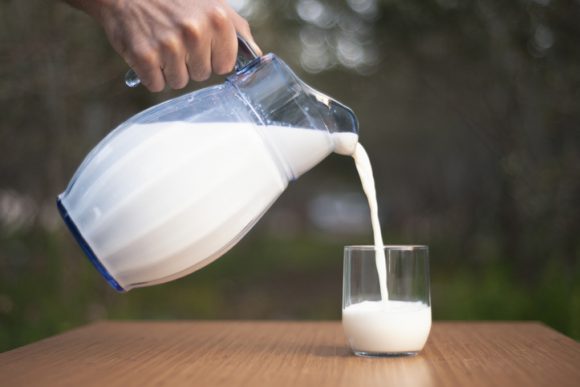 일반 우유가 저지방 우유보다 좋다? (연구)