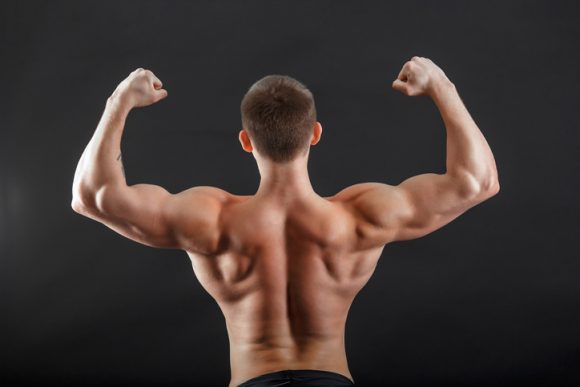 근육 성장 촉진하는 단백질, 어떻게 작동할까?