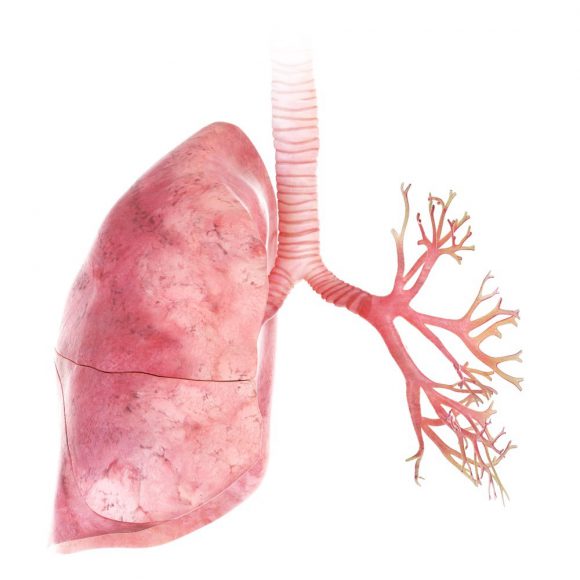 ﻿’폐 건강’에 도움되는 식습관 3가지