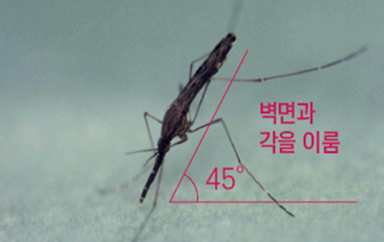 모기기피제로 말라리아 예방? “허위·과장광고 주의”