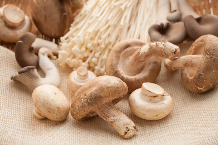 ﻿각종 영양소 풍부한 버섯… 건강에 좋은 점 4가지