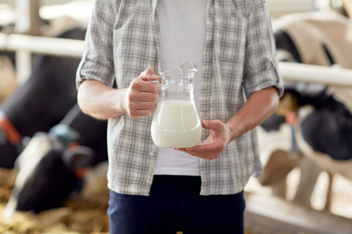 인류가 우유를 마시기 시작한 시점은?