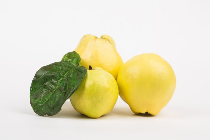 못생긴 과일의 대명사 ‘모과’…효능은 만병통치약 급