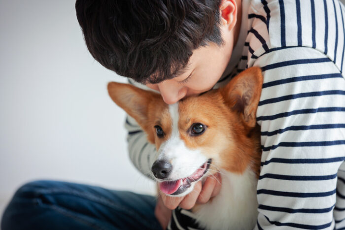 (이미지아직)개 만지면 건강에 좋다, 왜? (연구)