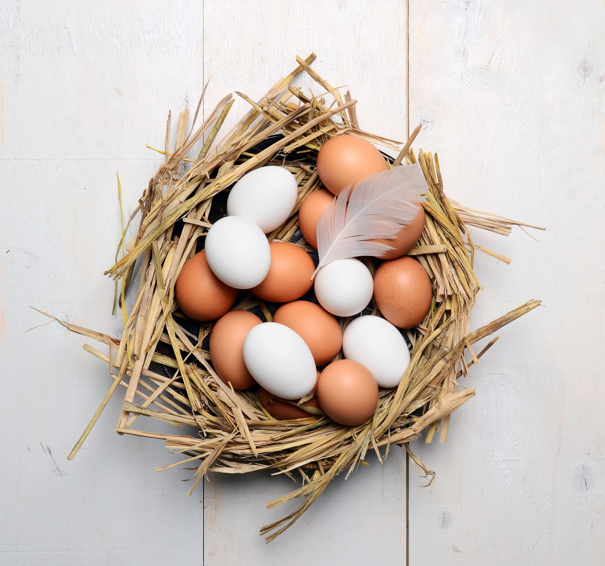 흰색 달걀이 건강에 좋다는데…과연 그럴까?
