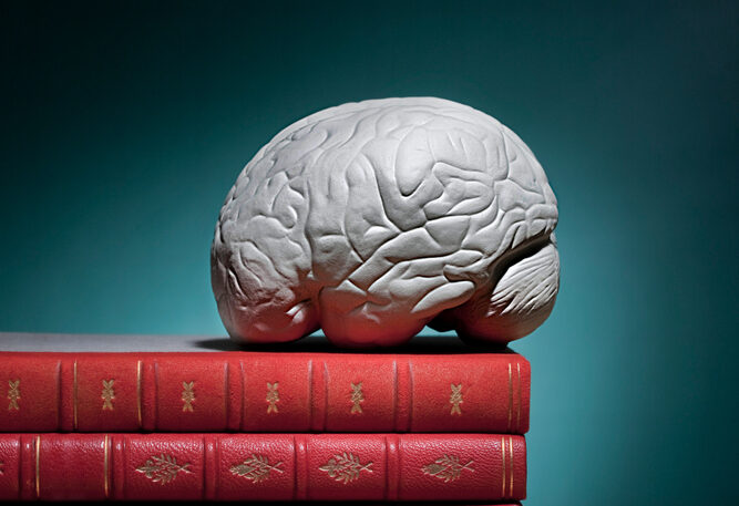 글 읽을 때 뇌에서는 무슨 일이?