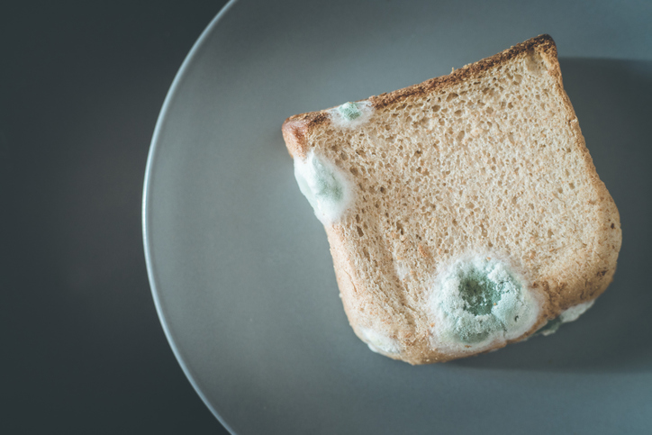 Can you Digest Mold? Understanding the Risks of Accidentally Eating Moldy Food