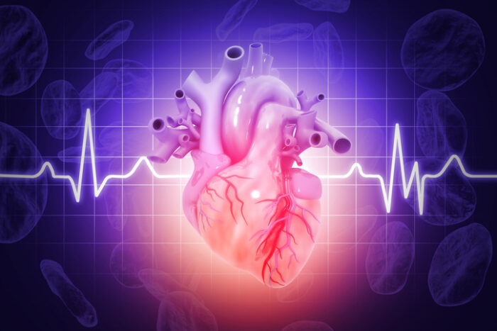 “Understanding the Far-Reaching Impact of Heart Disease: Types and Effects”