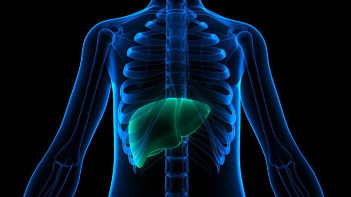 understanding-liver-health-the-truth-about-herbs-and-foods-for-liver