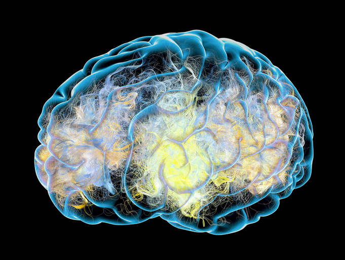 세포 죽음 막기 위해 뇌가 보내는 SOS 신호