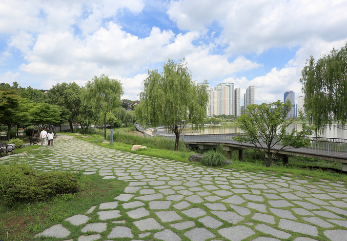 The Role of Green Spaces in Slowing Down Biological Aging: Study Reveals Benefits