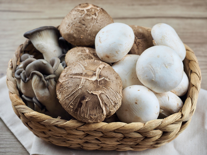 젊은 피부, 중독…버섯을 먹고 생길 수 있는 일