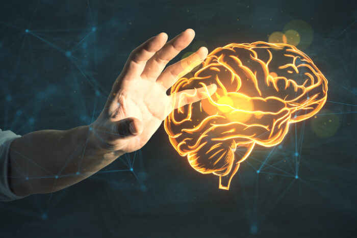 국내 연구팀, 뇌 질환 원인 물질 찾는 ‘브레인 칩’ 개발