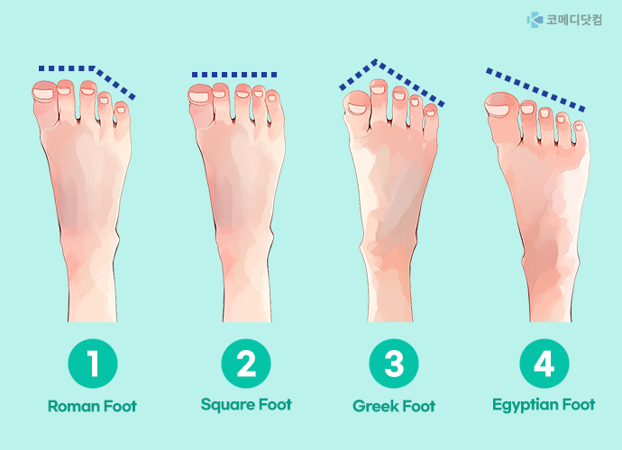 두번째 발가락 길면 ‘창의적’… 발 유형 따라 성격 다르다?