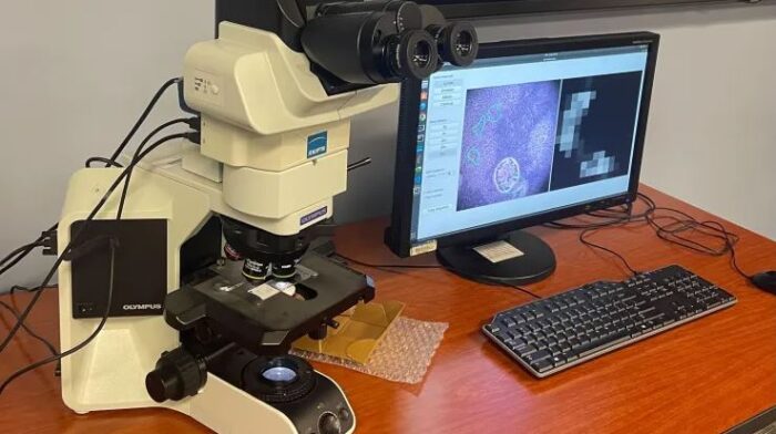 구글, 美 국방부와 AI 현미경 개발…’작은 암세포’도 찾아낸다