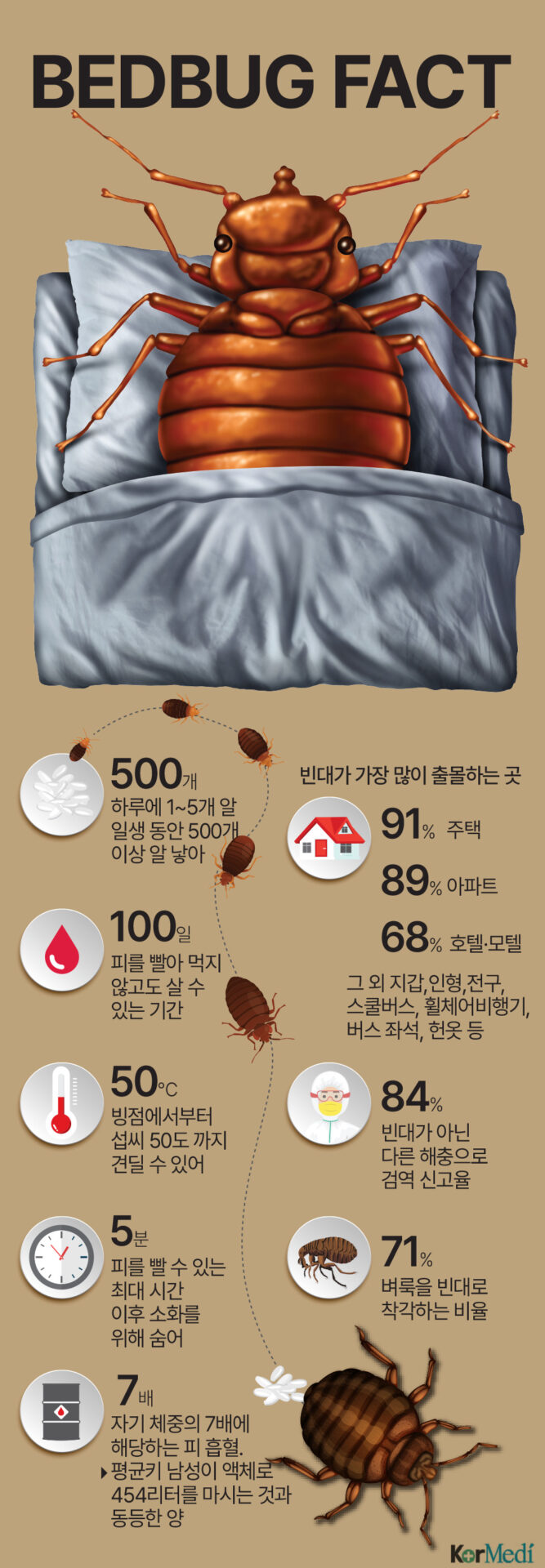[한컷건강] “빈대 검역 원래 해왔다”…서울 빈대 출몰 사실은