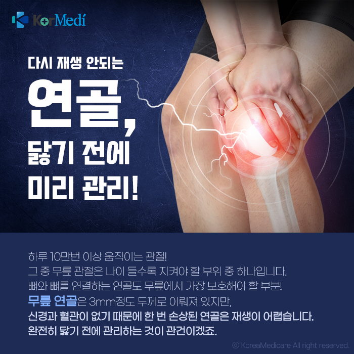 “무릎 연골 쉽게 닳아”…좌식생활 한국인에 필요한 ‘이것’은?