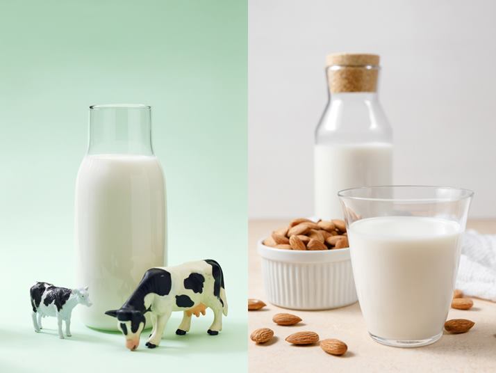 “식물성 음료가 우유라고?” 영양성분 ‘이렇게’ 다르다