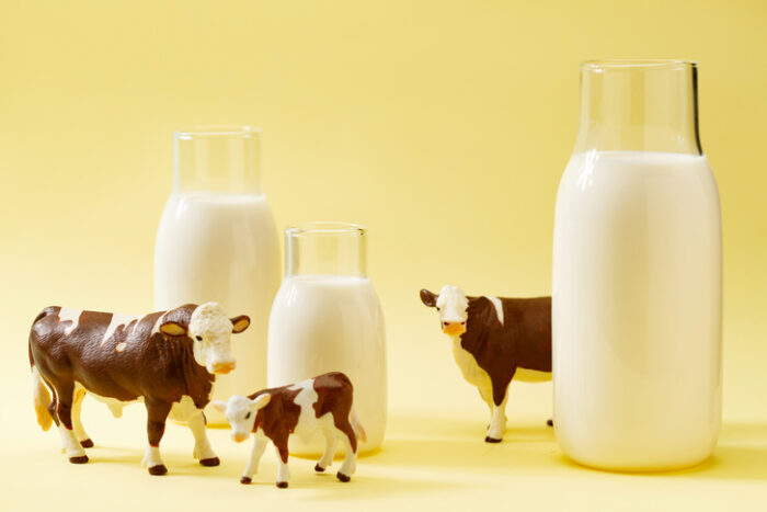 “좋은 우유 고르려면”…‘이 두가지’는 꼭 확인하세요