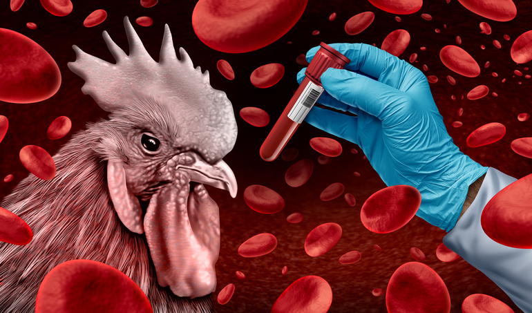 “A mutation occurs in the avian flu virus that makes it easy to spread to humans.”