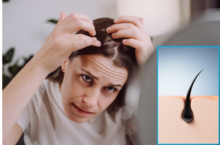 «¿Cómo crece el pelo?»… El mecanismo que pone patas arriba los manuales de medicina: ¿crece “así”?