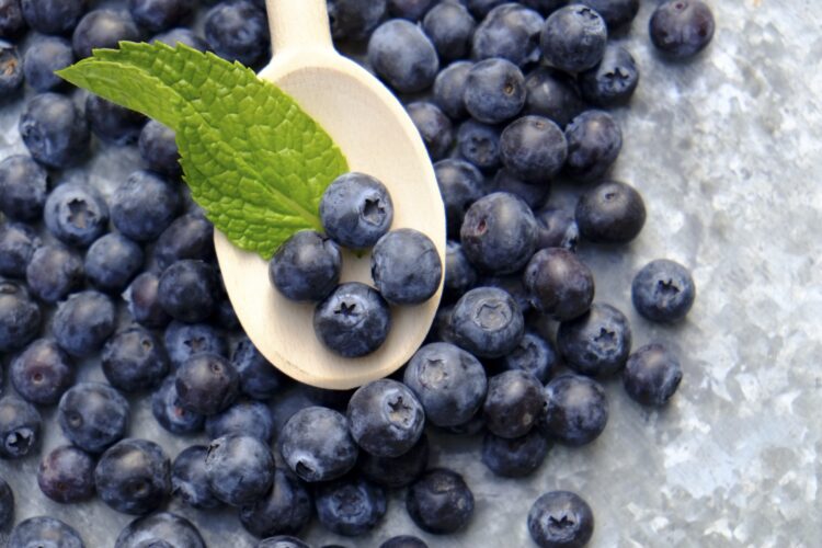 ¿Son mejores los arándanos congelados? El motivo inesperado por el que pueden aportar más nutrientes que los frescos