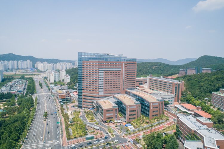 전화·팩스 붙잡고 씨름하던 '병원 전원', 이제 AI가 뚝딱 - 뉴스 썸네일 이미지