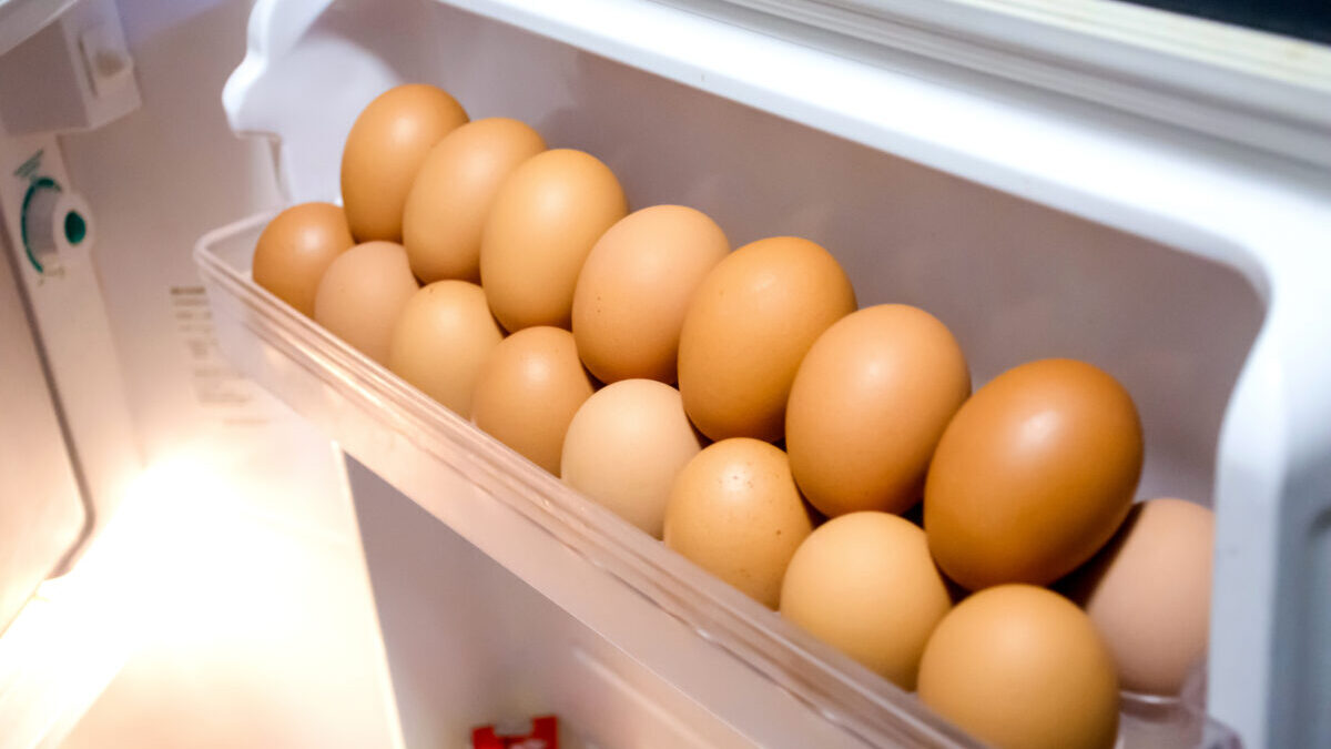 “보관 위치가 신선도 좌우” 우유, 달걀⋯냉장고 ‘이곳’에 두면 안 되는 이유