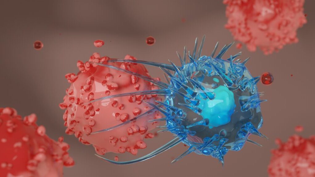 Las células inmunitarias que frenan el cáncer: el orden de llegada cambia el resultado y abre una vía contra tumores cerebrales resistentes