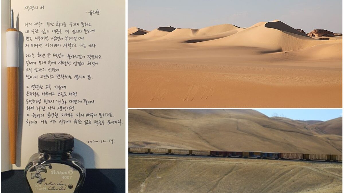 사막에, 물을 대다⋯그 자리에서, 생명을 읽다